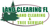 Land Clearing FL
